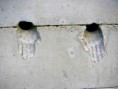 /album/a2006/a06-0820-cze-jpg/